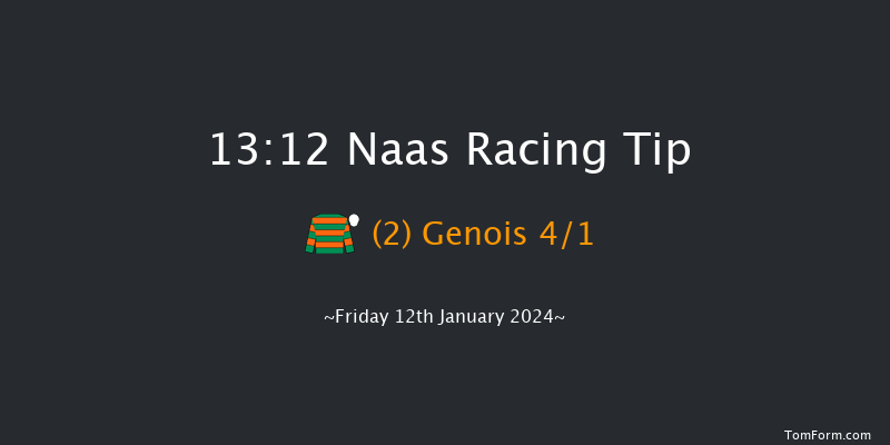 Naas 13:12 Handicap Chase 16f Sun 7th Jan 2024