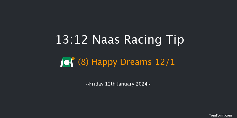 Naas 13:12 Handicap Chase 16f Sun 7th Jan 2024