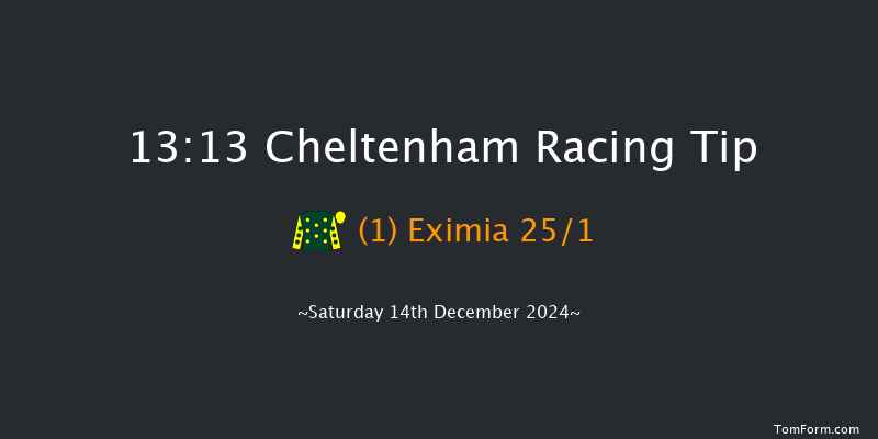 Cheltenham  13:13 Handicap Chase (Class 3) 21f Fri 13th Dec 2024