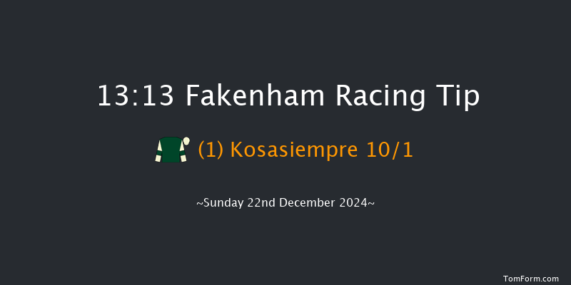 Fakenham  13:13 Handicap Chase (Class 4) 21f Tue 19th Nov 2024