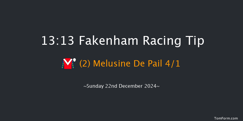 Fakenham  13:13 Handicap Chase (Class 4) 21f Tue 19th Nov 2024