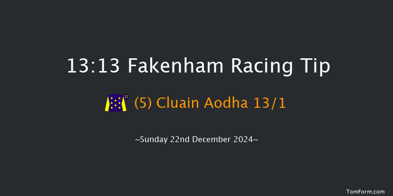 Fakenham  13:13 Handicap Chase (Class 4) 21f Tue 19th Nov 2024