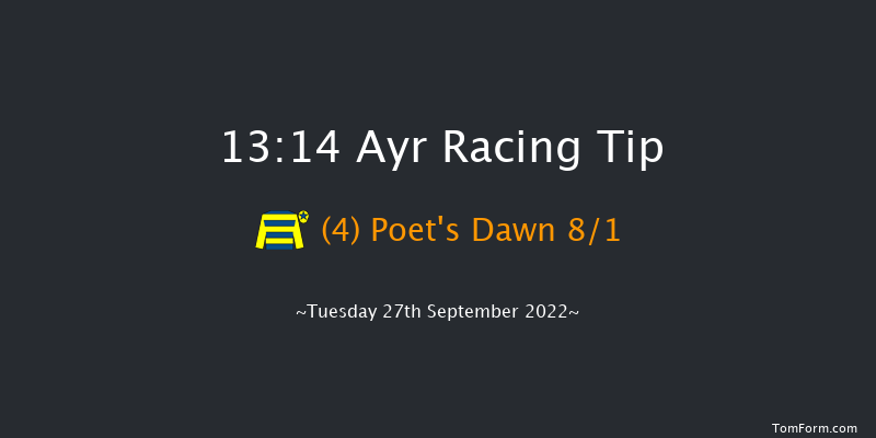 Ayr 13:14 Handicap (Class 4) 8f Sat 17th Sep 2022