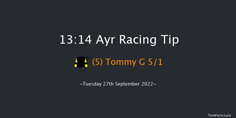 Ayr 13:14 Handicap (Class 4) 8f Sat 17th Sep 2022