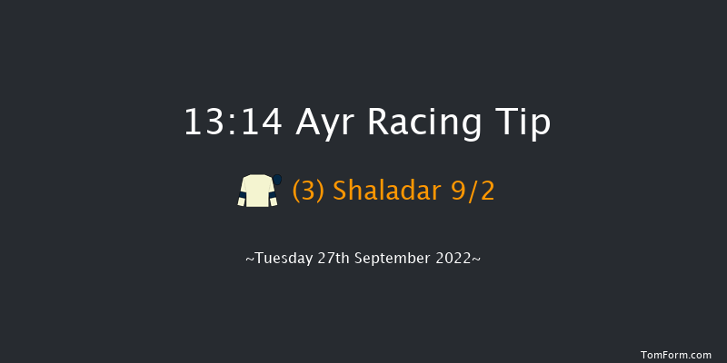 Ayr 13:14 Handicap (Class 4) 8f Sat 17th Sep 2022