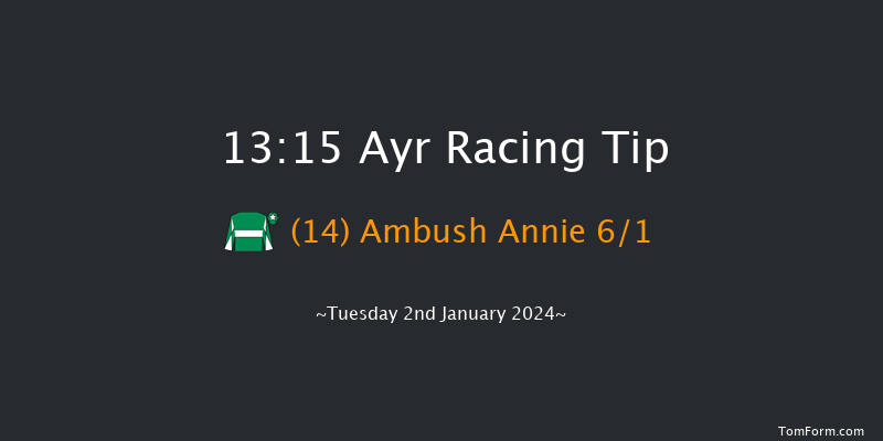 Ayr 13:15 Handicap Hurdle (Class 5) 20f Wed 20th Dec 2023