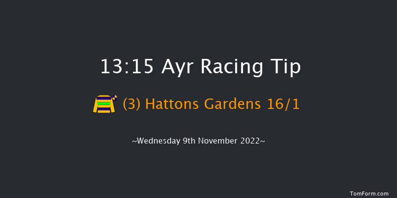 Ayr 13:15 Maiden Hurdle (Class 4) 20f Sat 29th Oct 2022