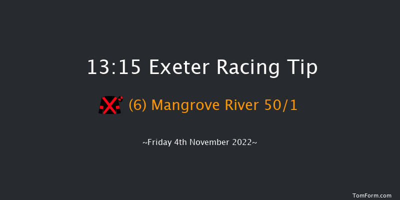 Exeter 13:15 Maiden Hurdle (Class 3) 17f Tue 18th Oct 2022