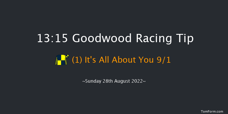 Goodwood 13:15 Maiden (Class 4) 8f Sat 27th Aug 2022