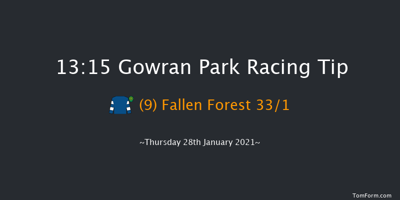 Langtons Kilkenny Handicap Hurdle (80-102) Gowran Park 13:15 Handicap Hurdle 16f Fri 20th Nov 2020