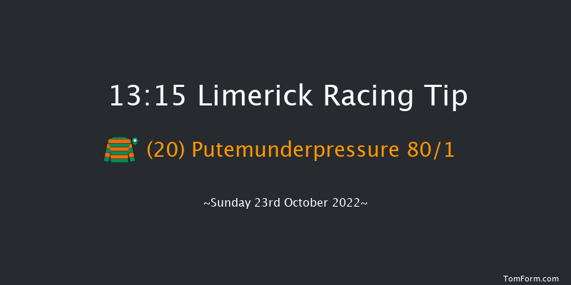 Limerick 13:15 Maiden Hurdle 16f Thu 21st Jul 2022