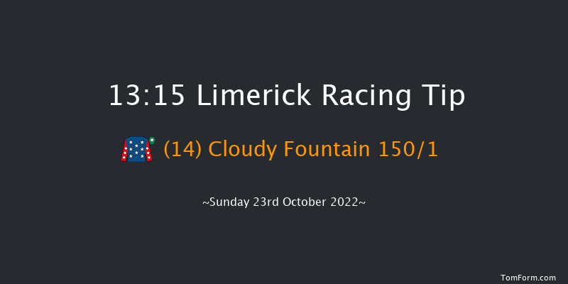 Limerick 13:15 Maiden Hurdle 16f Thu 21st Jul 2022