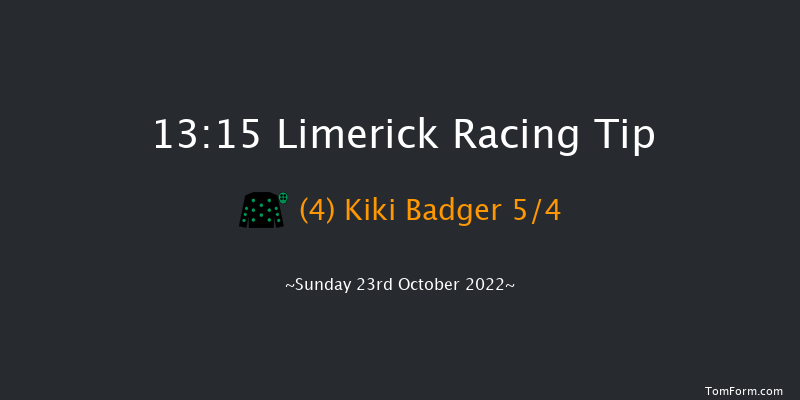 Limerick 13:15 Maiden Hurdle 16f Thu 21st Jul 2022