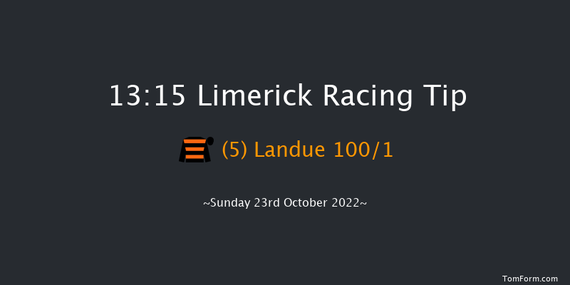 Limerick 13:15 Maiden Hurdle 16f Thu 21st Jul 2022