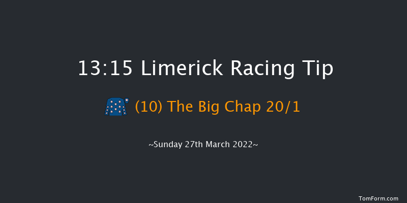 Limerick 13:15 Maiden Hurdle 19f Sun 13th Mar 2022