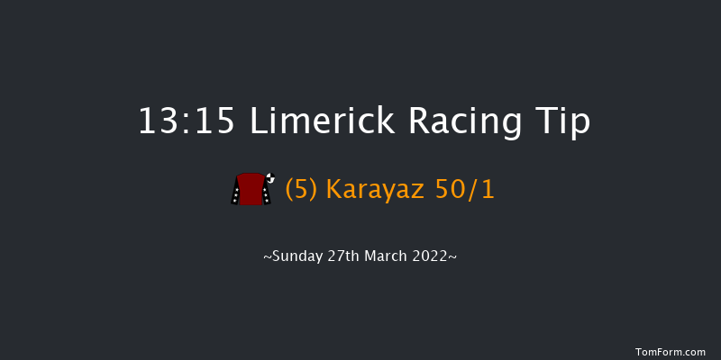 Limerick 13:15 Maiden Hurdle 19f Sun 13th Mar 2022