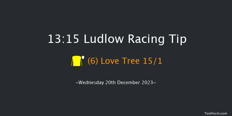 Ludlow 13:15 Conditions Hurdle (Class 4) 16f Wed 6th Dec 2023