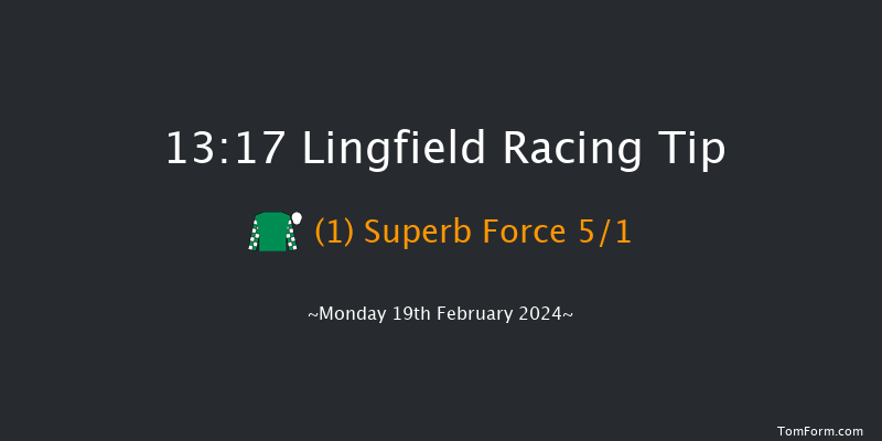 Lingfield  13:17 Handicap (Class 6) 8f Tue 13th Feb 2024