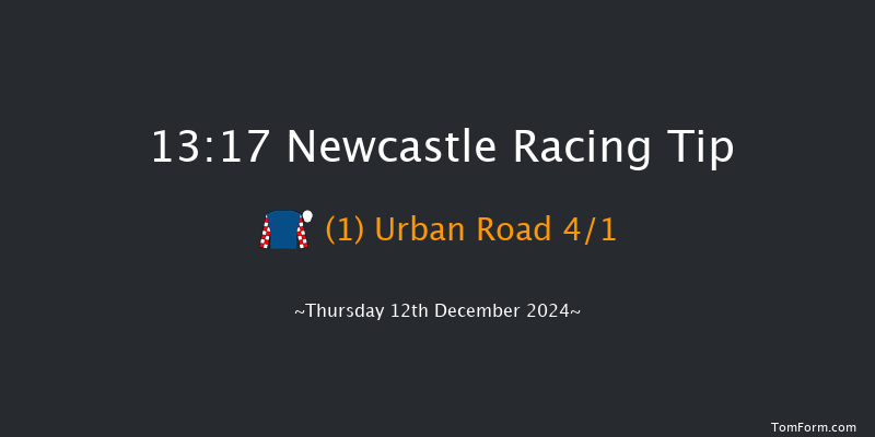 Newcastle  13:17 Handicap (Class 6) 10f Fri 6th Dec 2024