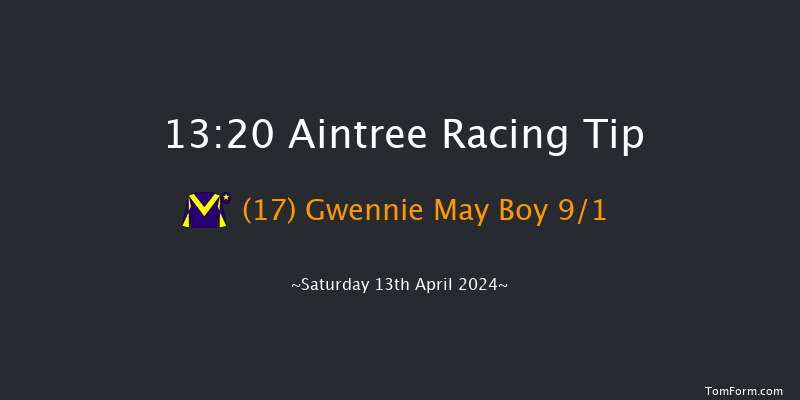 Aintree  13:20 Handicap Hurdle (Class 1)
25f Fri 12th Apr 2024