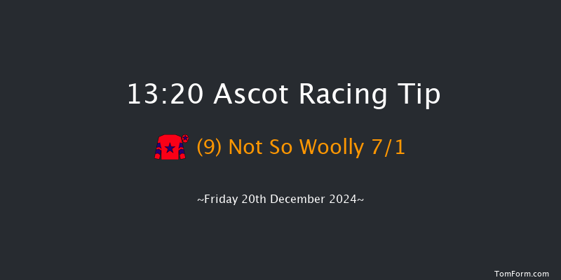 Ascot  13:20 Maiden Hurdle (Class 3) 22f Sat 23rd Nov 2024