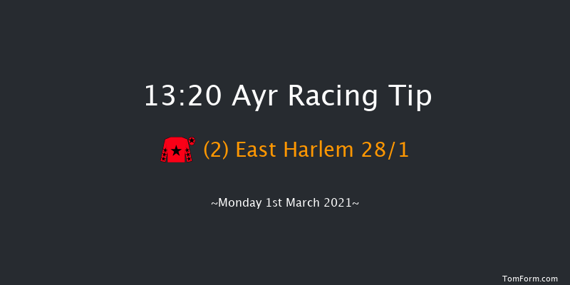 Western House Hotel Staycation Maiden Hurdle (GBB Race) Ayr 13:20 Maiden Hurdle (Class 4) 20f Mon 18th Jan 2021