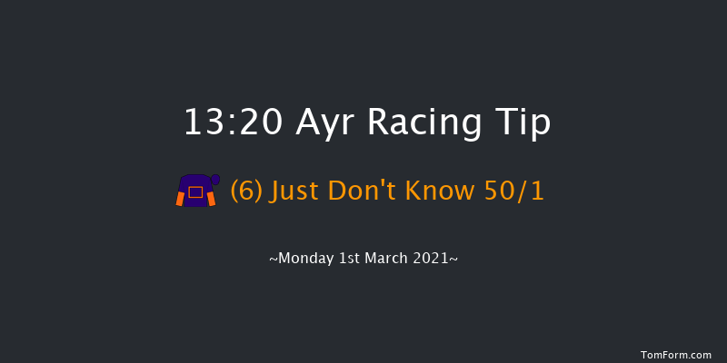 Western House Hotel Staycation Maiden Hurdle (GBB Race) Ayr 13:20 Maiden Hurdle (Class 4) 20f Mon 18th Jan 2021