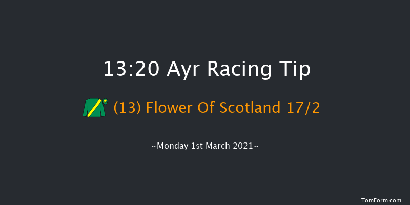 Western House Hotel Staycation Maiden Hurdle (GBB Race) Ayr 13:20 Maiden Hurdle (Class 4) 20f Mon 18th Jan 2021