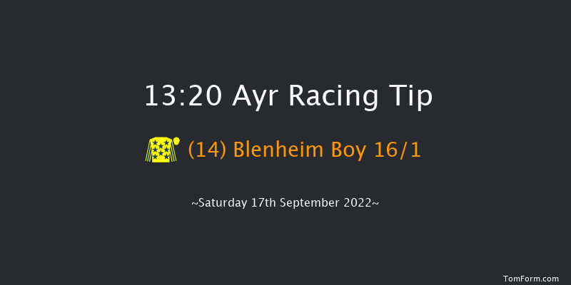 Ayr 13:20 Handicap (Class 2) 8f Fri 16th Sep 2022