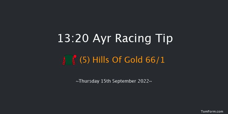 Ayr 13:20 Stakes (Class 4) 7f Sat 6th Aug 2022