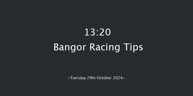 Bangor-on-dee  13:20 Maiden Hurdle (Class 3)
17f Fri 6th Sep 2024