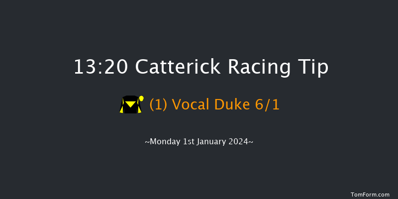 Catterick 13:20 Handicap Hurdle (Class 5) 16f Thu 28th Dec 2023