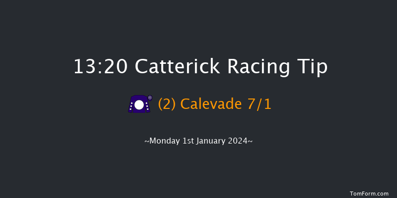 Catterick 13:20 Handicap Hurdle (Class 5) 16f Thu 28th Dec 2023