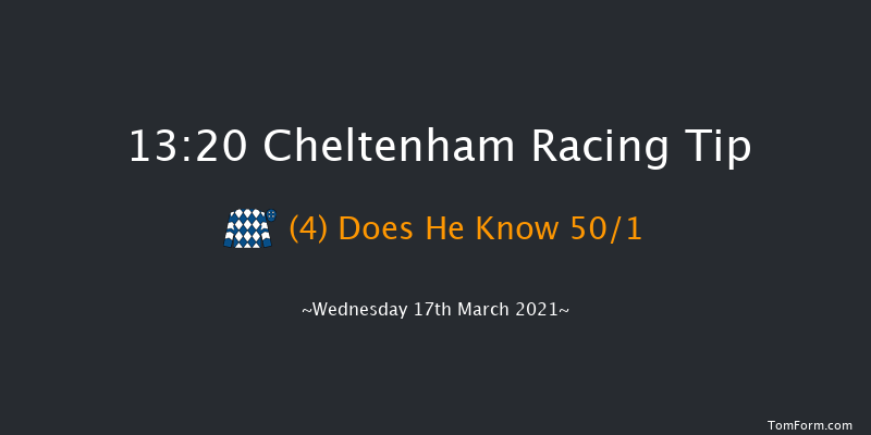 Ballymore Novices' Hurdle (Registered As The Baring Bingham) (Grade 1) (GBB Race) Cheltenham 13:20 Novices Hurdle (Class 1) 21f Tue 16th Mar 2021