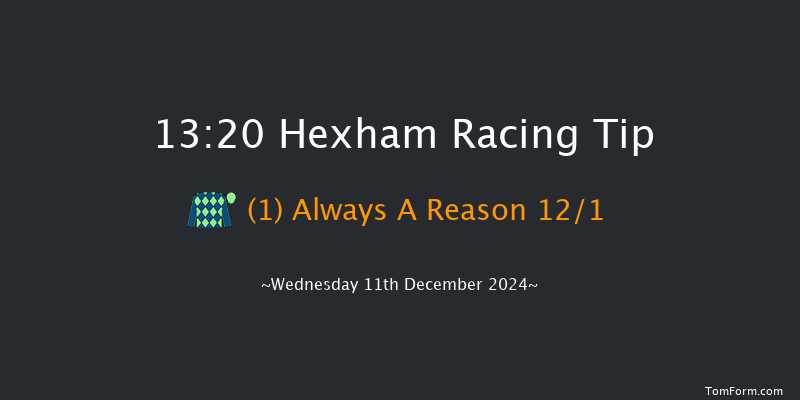 Hexham  13:20 Maiden Hurdle (Class 4) 20f Wed 20th Nov 2024