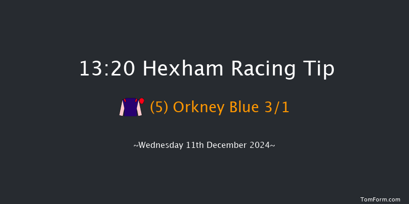 Hexham  13:20 Maiden Hurdle (Class 4) 20f Wed 20th Nov 2024