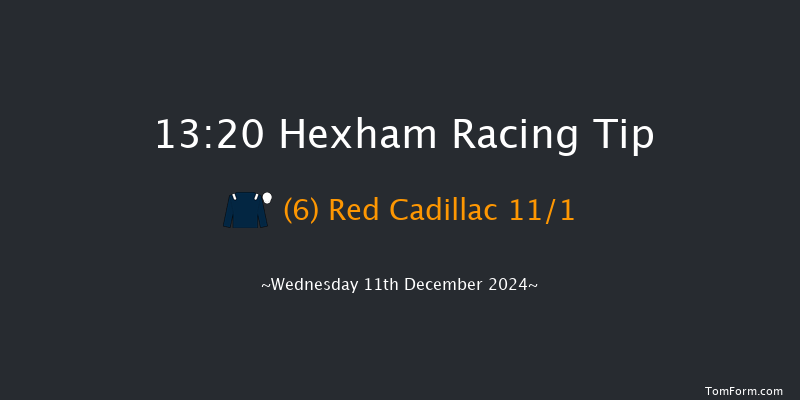 Hexham  13:20 Maiden Hurdle (Class 4) 20f Wed 20th Nov 2024