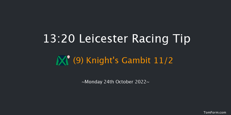 Leicester 13:20 Handicap (Class 6) 12f Tue 11th Oct 2022