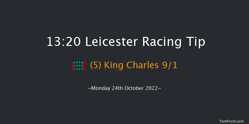 Leicester 13:20 Handicap (Class 6) 12f Tue 11th Oct 2022