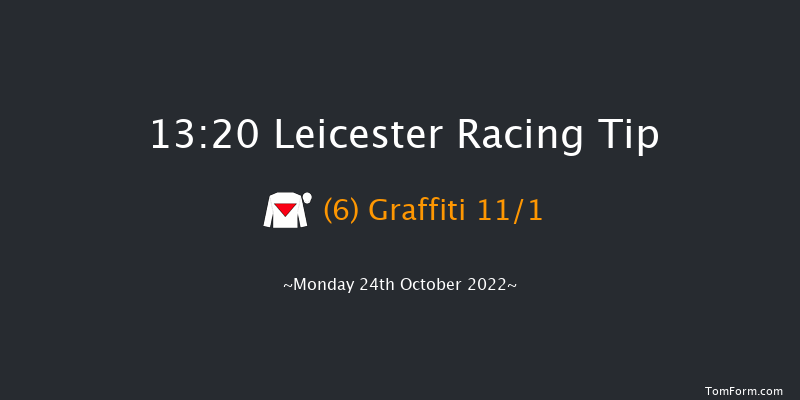 Leicester 13:20 Handicap (Class 6) 12f Tue 11th Oct 2022