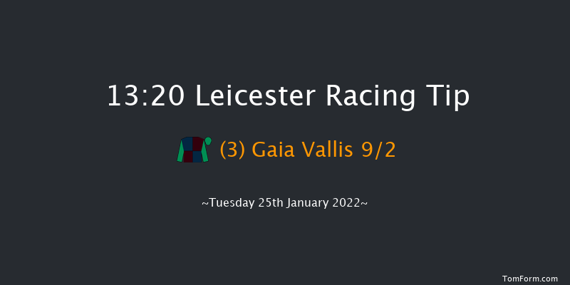 Leicester 13:20 Handicap Hurdle (Class 5) 20f Wed 12th Jan 2022