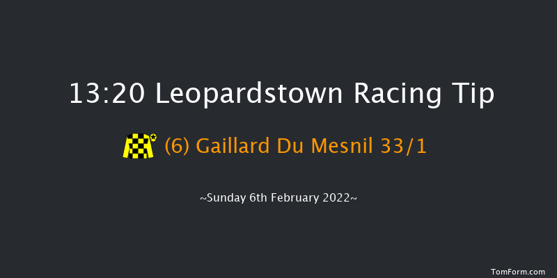 Leopardstown 13:20 Novices Chase 21f Sat 5th Feb 2022