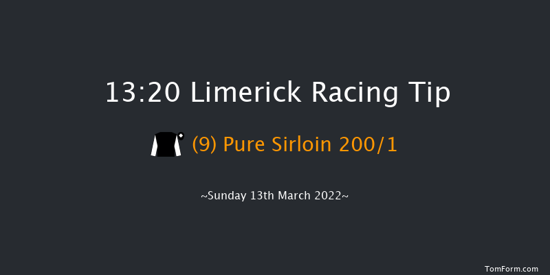 Limerick 13:20 Conditions Hurdle 16f Tue 1st Feb 2022