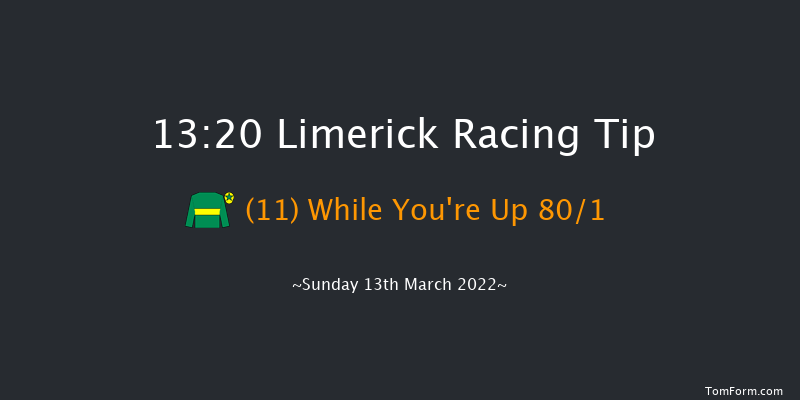 Limerick 13:20 Conditions Hurdle 16f Tue 1st Feb 2022