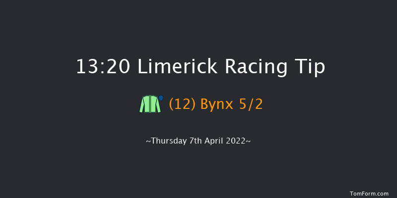 Limerick 13:20 Maiden Hurdle 16f Sun 27th Mar 2022