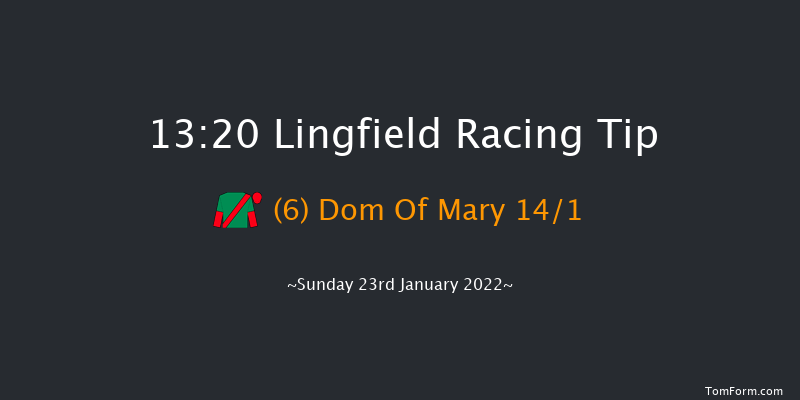 Lingfield 13:20 Novices Hurdle (Class 2) 23f Sat 22nd Jan 2022