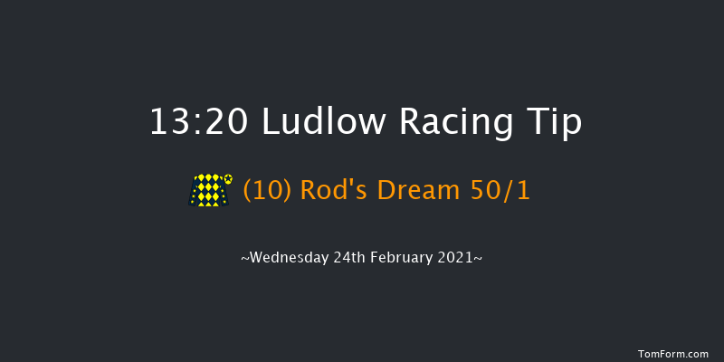 Proper Good Dairy Maiden Hurdle (GBB Race) Ludlow 13:20 Maiden Hurdle (Class 4) 16f Thu 21st Jan 2021