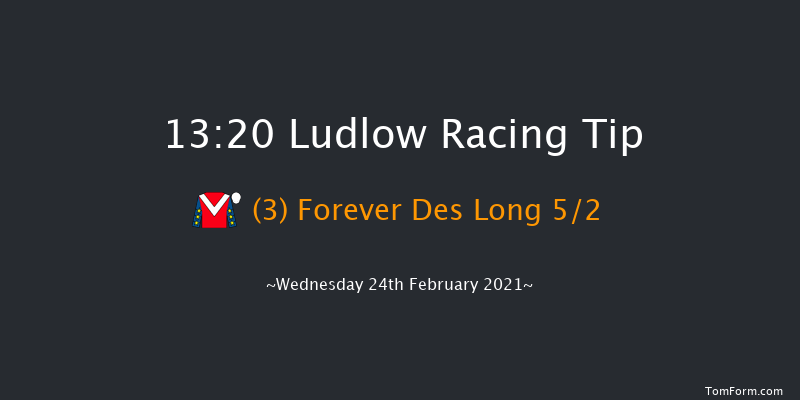 Proper Good Dairy Maiden Hurdle (GBB Race) Ludlow 13:20 Maiden Hurdle (Class 4) 16f Thu 21st Jan 2021