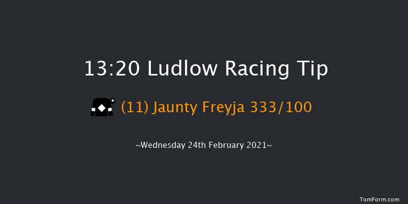 Proper Good Dairy Maiden Hurdle (GBB Race) Ludlow 13:20 Maiden Hurdle (Class 4) 16f Thu 21st Jan 2021