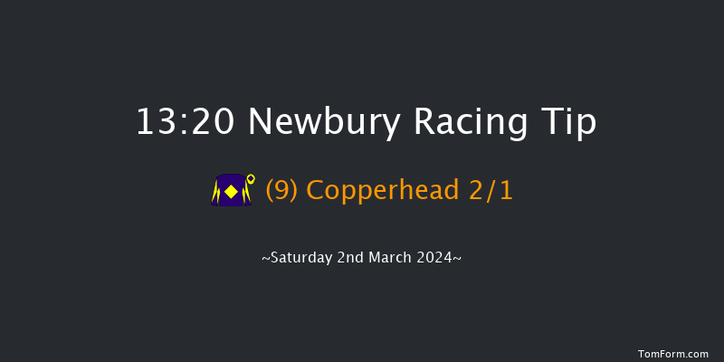 Newbury  13:20 Handicap Chase (Class 2) 26f Fri 1st Mar 2024